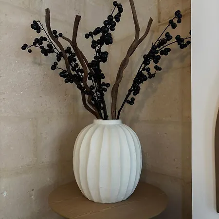 Résidence Arthus Cinopé